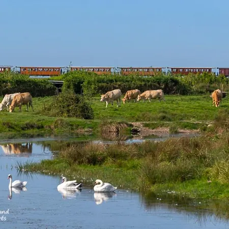 Hibiscus 3* Malaunay