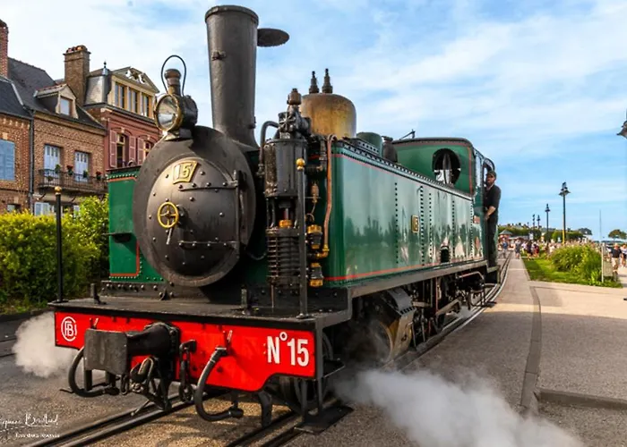 Hibiscus 3* Malaunay