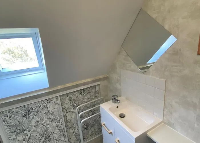 Hibiscus 3* Malaunay