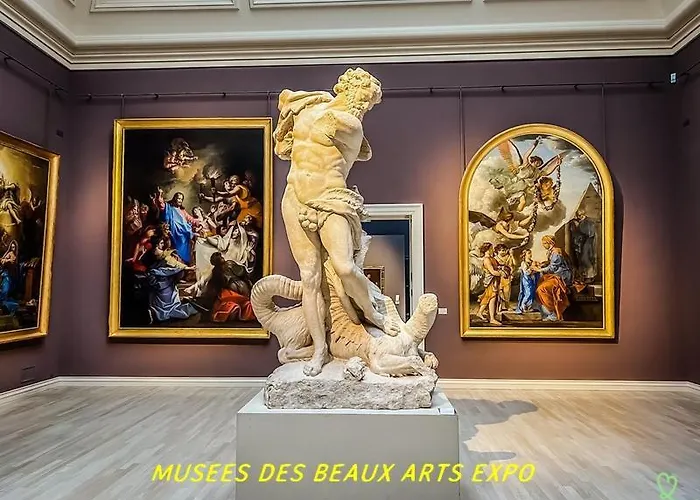 Hibiscus 3* Malaunay