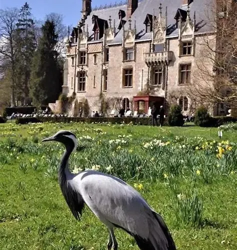 Bed & Breakfast Hibiscus 3*